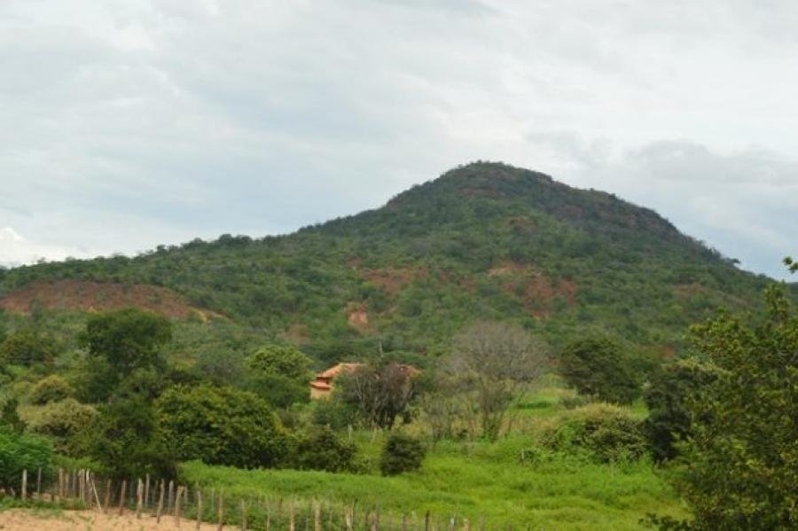 O Bezerro de Ouro do Morro Grande